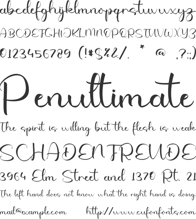 Yaretzi Alessia font preview