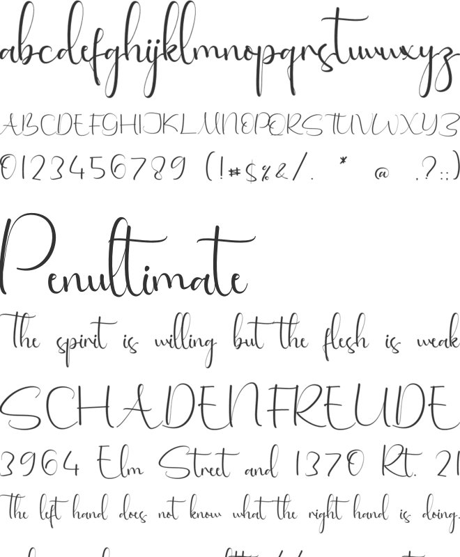 Renata Magdalena font preview