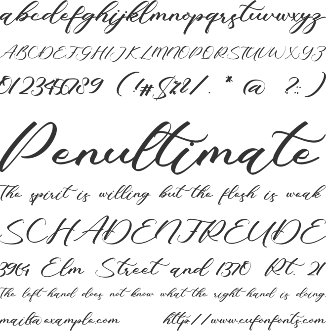 Cataleya Maddison font preview