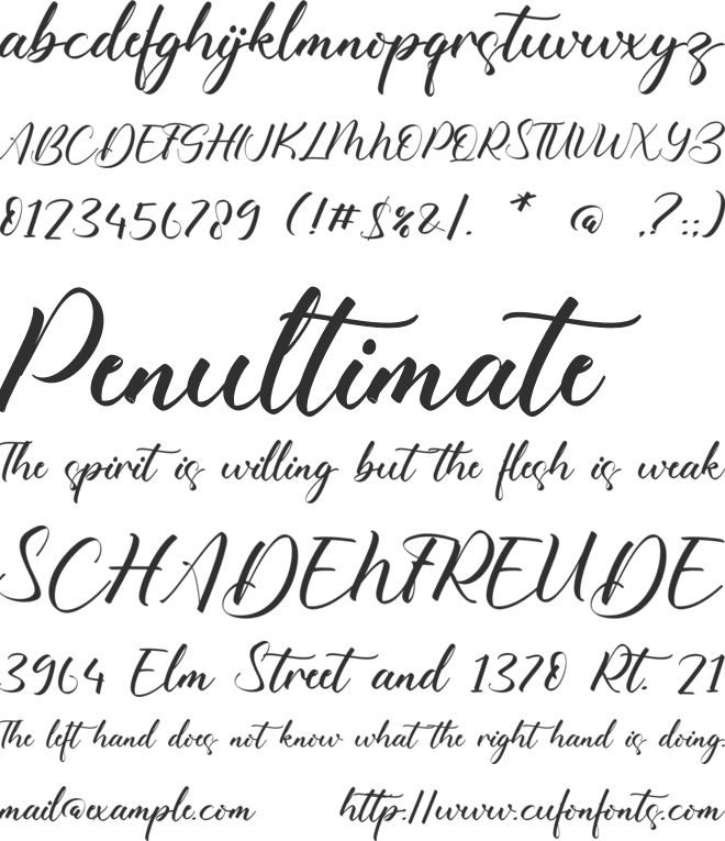 Charlote Catalina font preview