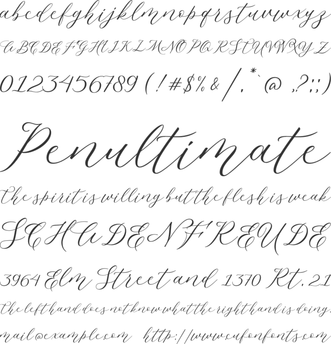 Malliandra Script DEMO font preview