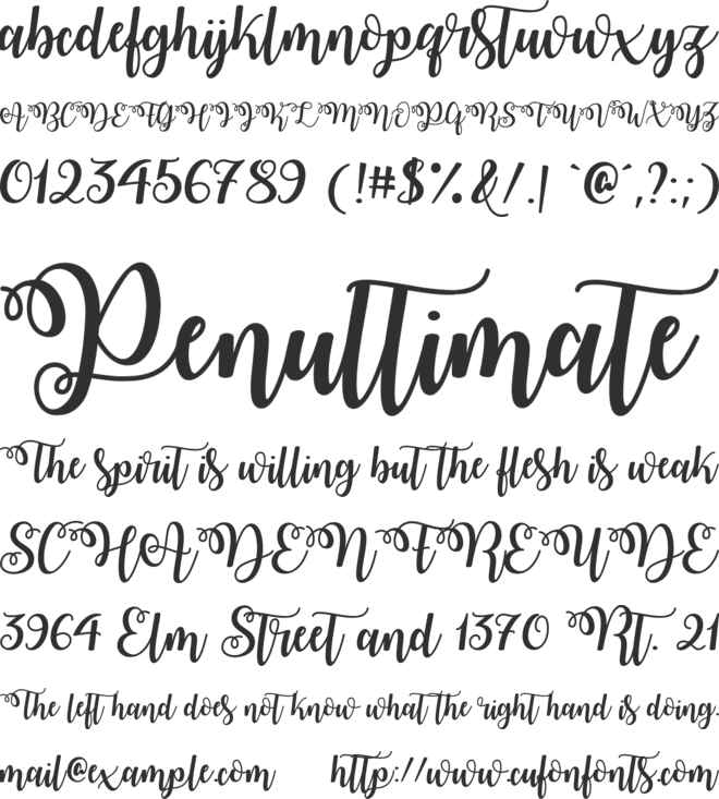 Watermelon Script Demo font preview