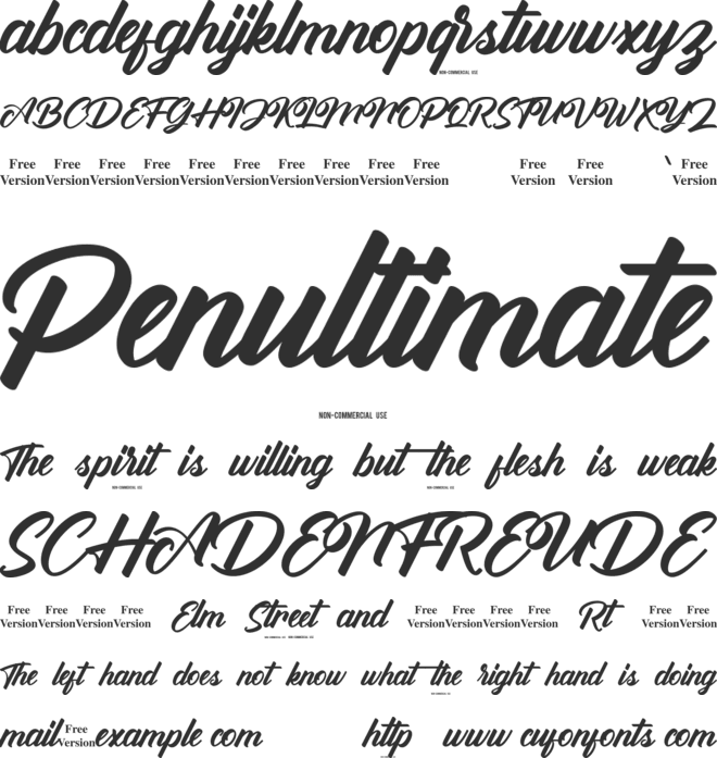 Antonellie Calligraphy Demo font preview