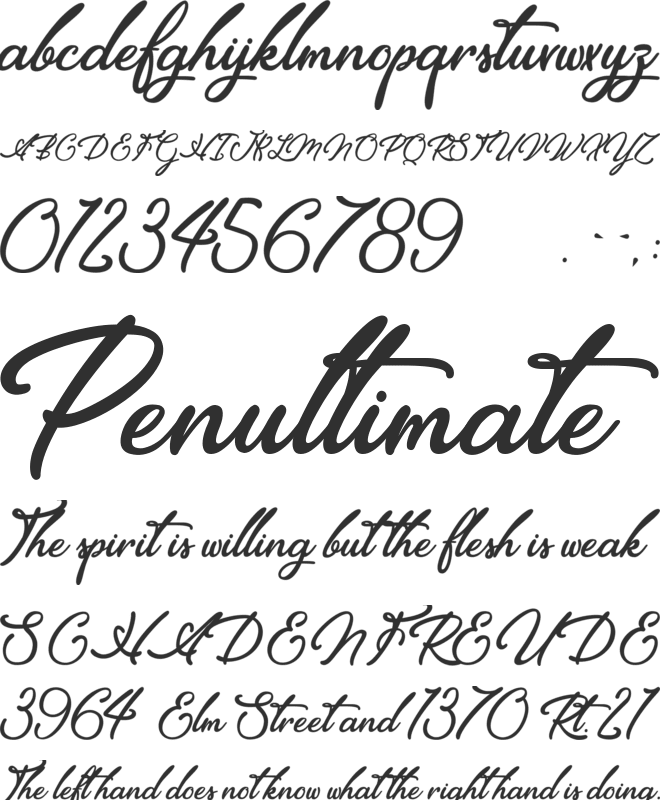 Elegancia Romantica font preview