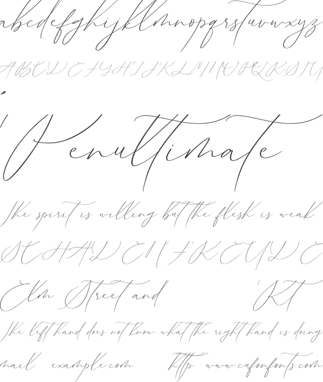 Sophia Martini font preview