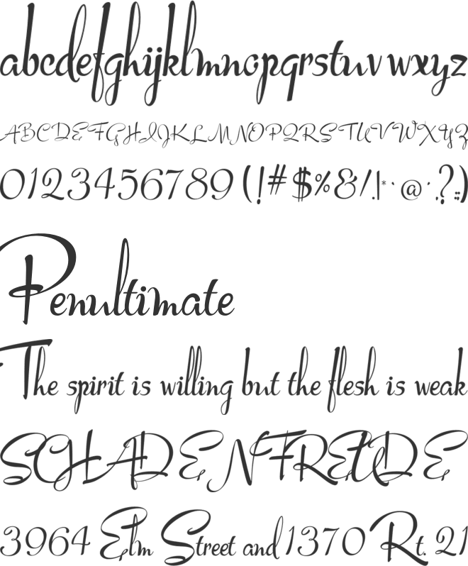 Lucy Script font preview