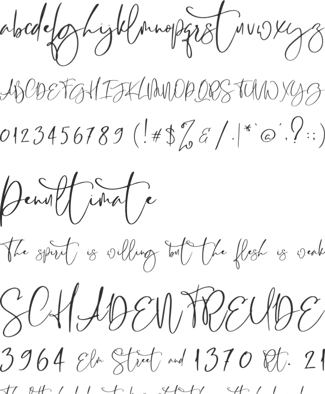 RastyKing font preview