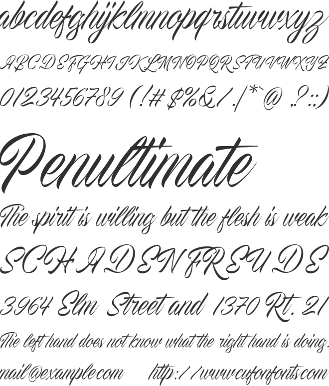 Proactive DEMO font preview