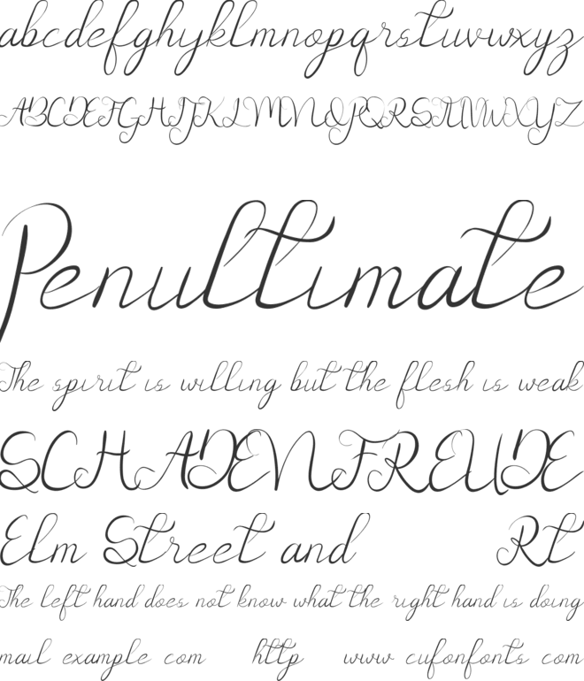 Daysave Demo font preview