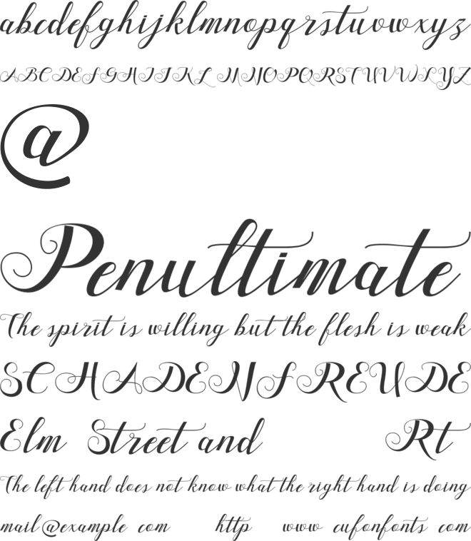 Friends da vinci font preview