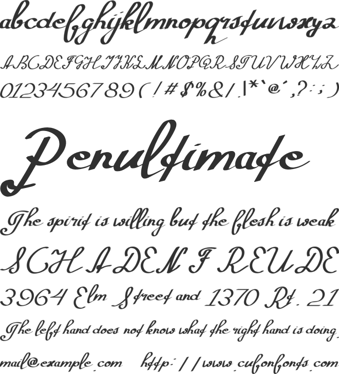 Morning font preview