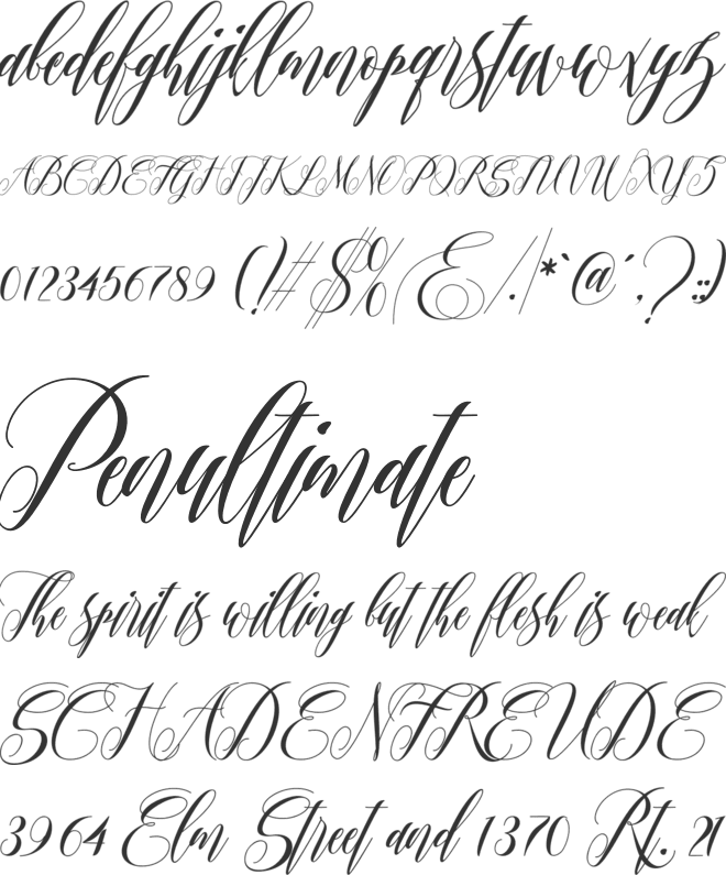 Twetter font preview