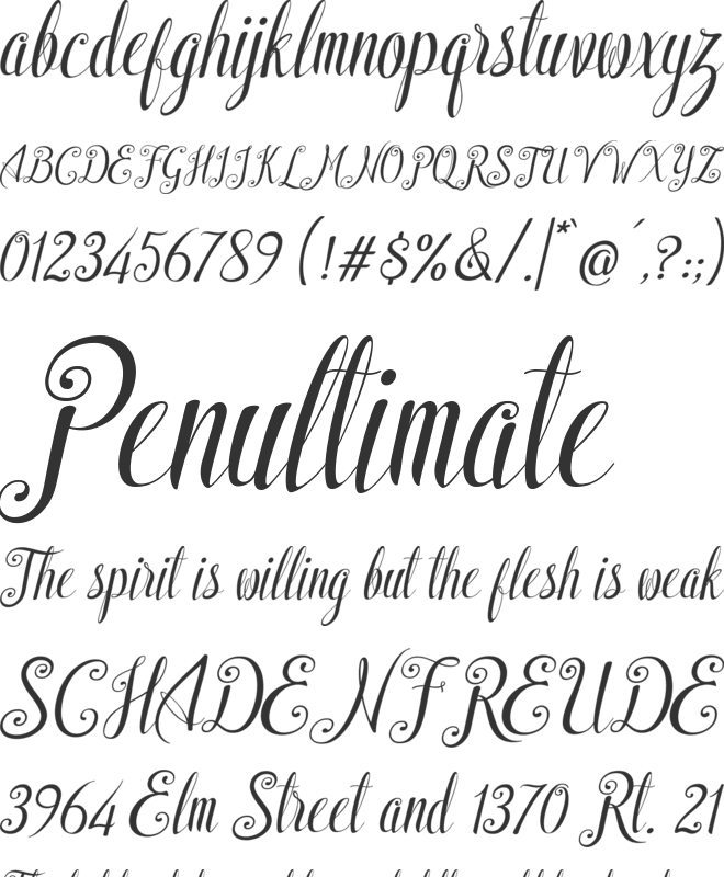 Shyntia Bella font preview