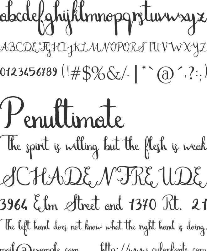 Stefania font preview