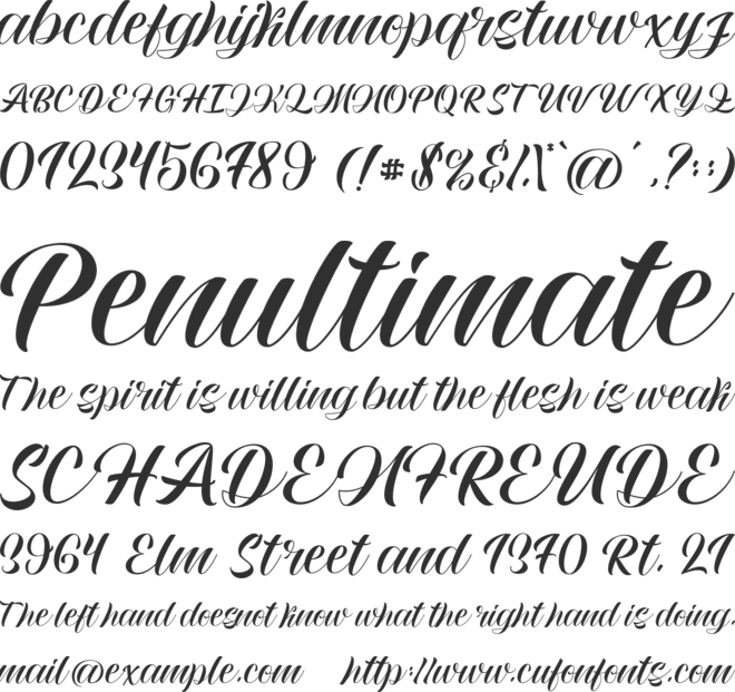 Bailey Rogles font preview