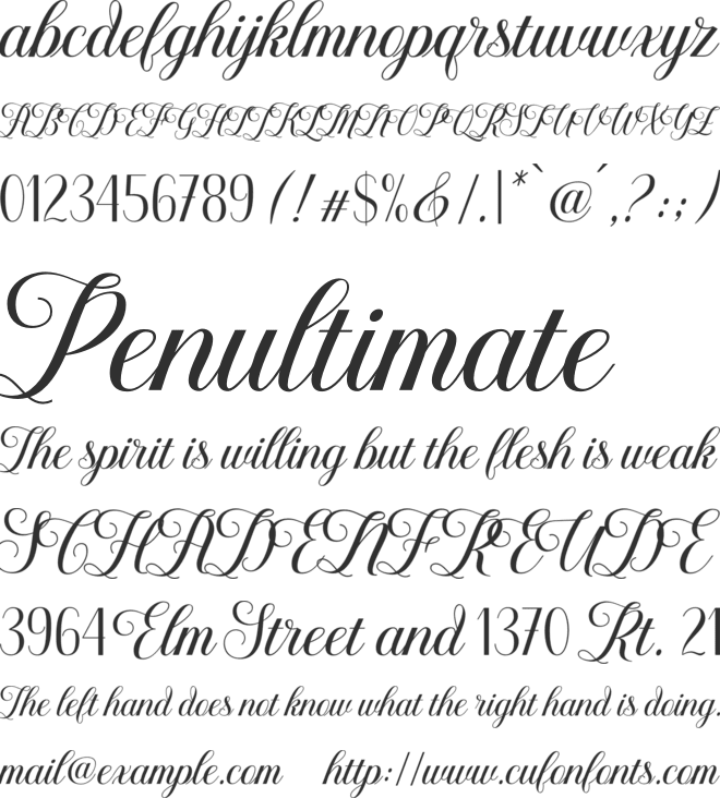 Youra Script font preview