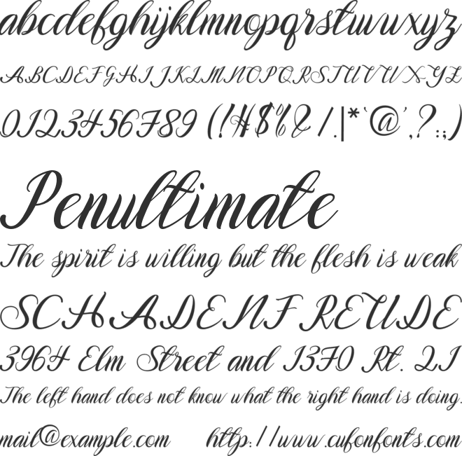 Augustine Script font preview