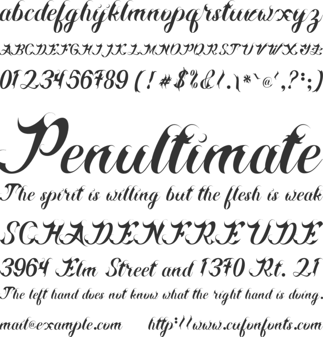 Anjelina font preview