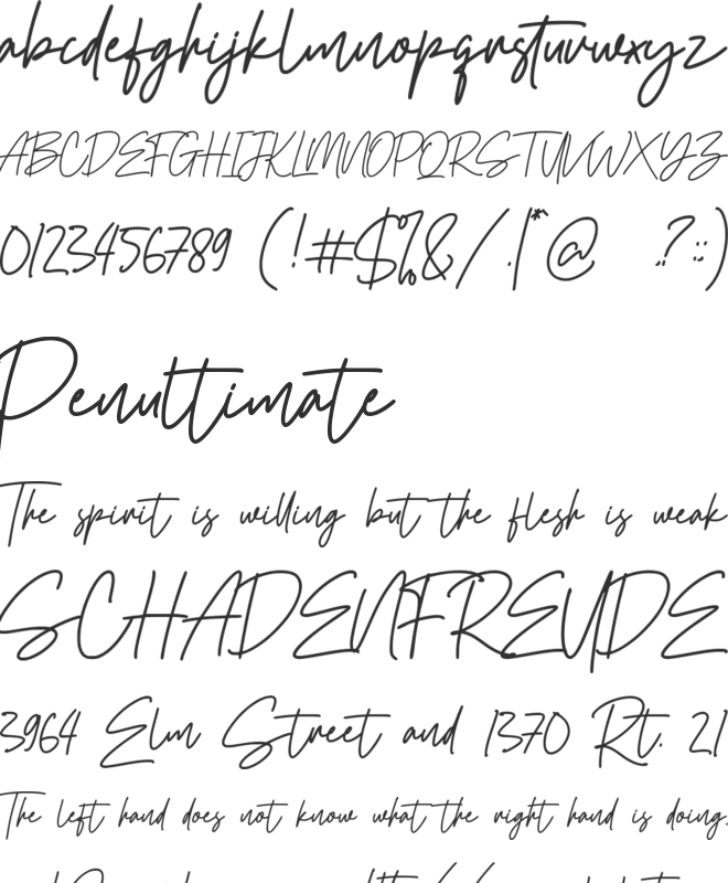 Boostard Signature font preview