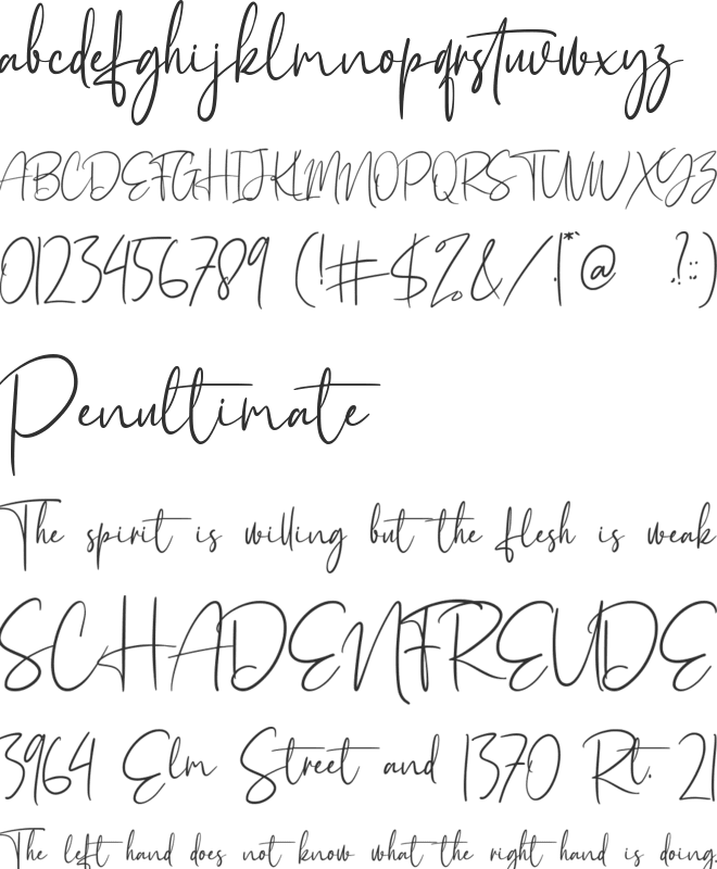 Holistic Signature font preview