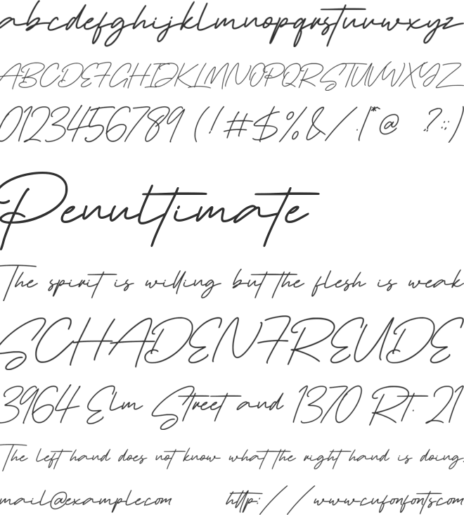 Pollaroid font preview