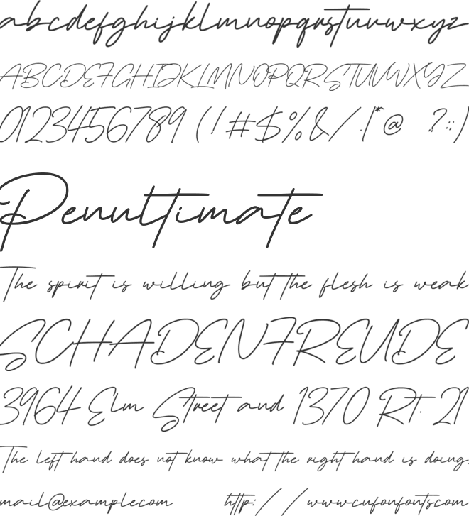 Pollaroid font preview