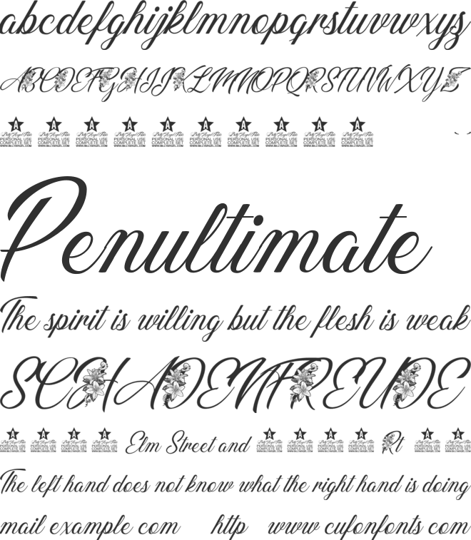 GERALDINE PERSONAL USE font preview