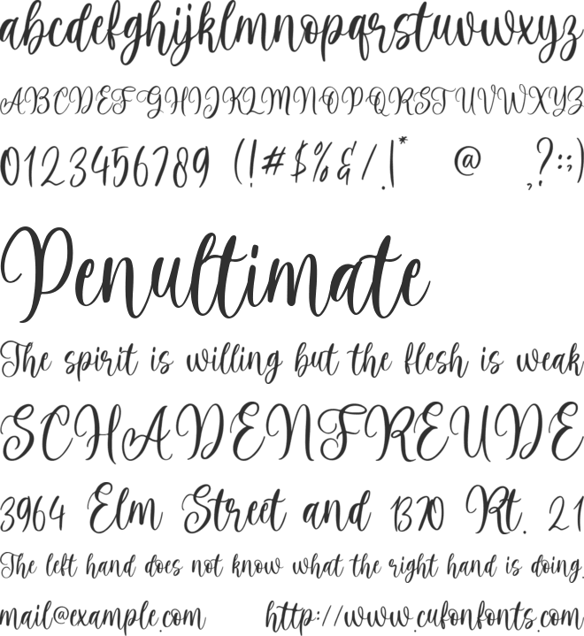Harmony Family font preview