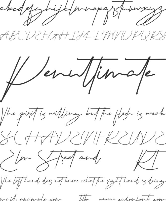 Signaturex Demo font preview
