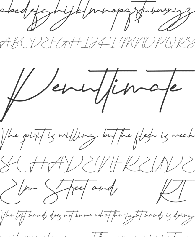 Signaturex Demo font preview