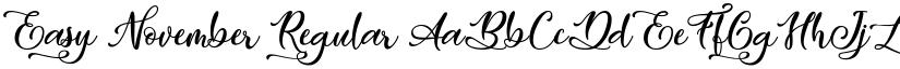 Easy November font download