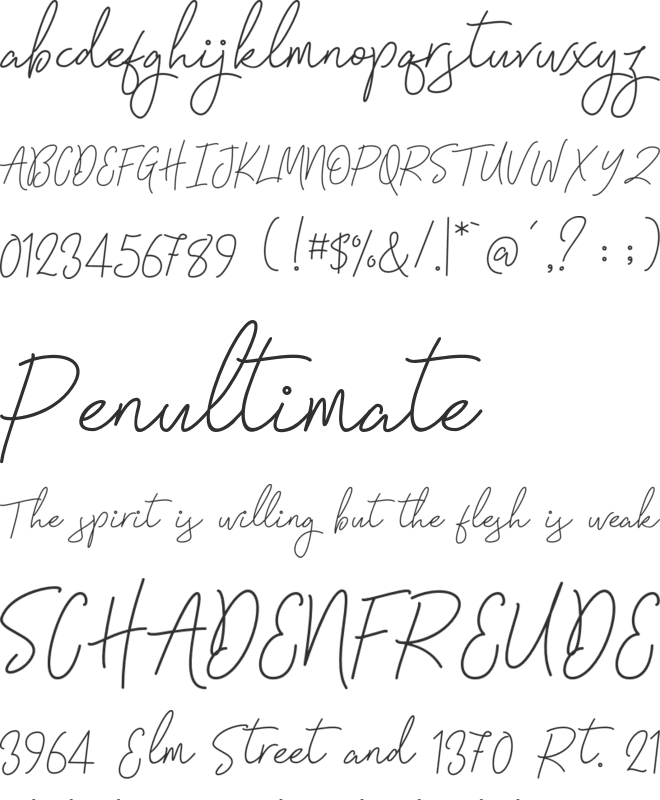 Signatura Monoline Script font preview