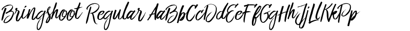 Bringshoot Regular font