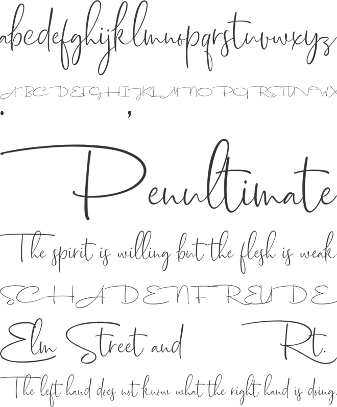 Dhanikans Signature 2 font preview