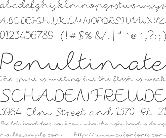 fox in the snow font preview