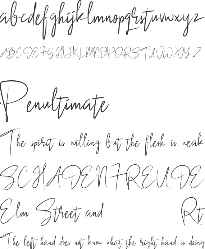BlackSingature font preview