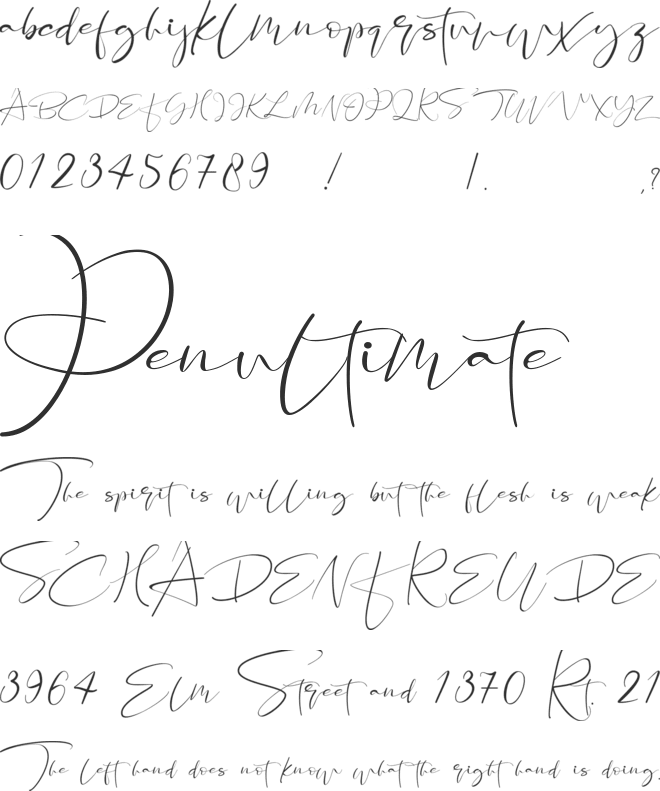 Santeria Signature font preview