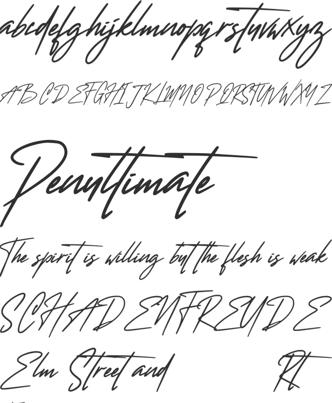 Wanted Signature font preview