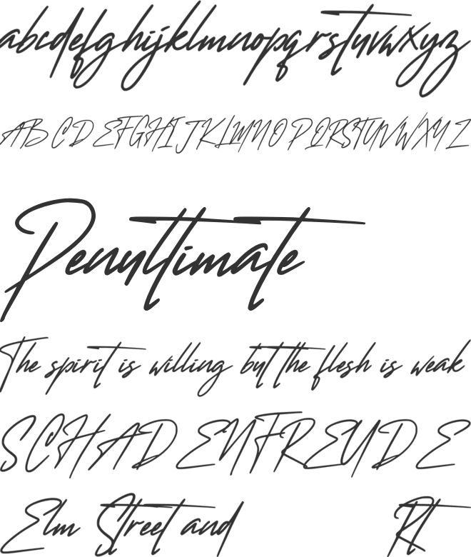 Wanted Signature font preview