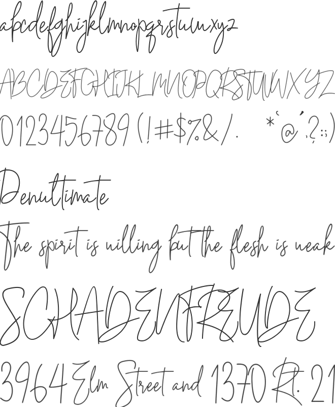 Andi Signature font preview