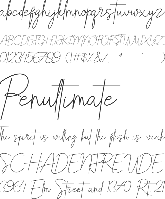 Bristine Signature Demo font preview