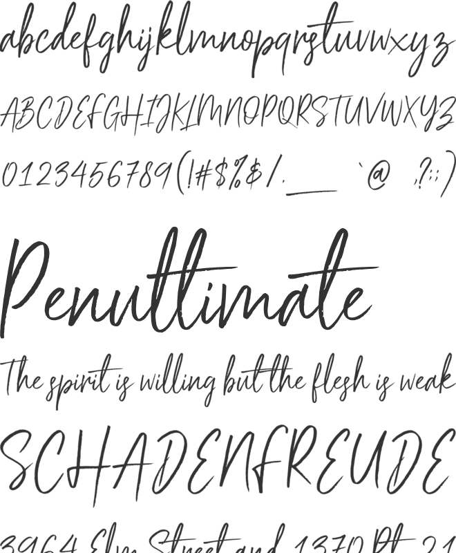 Scriptyca font preview