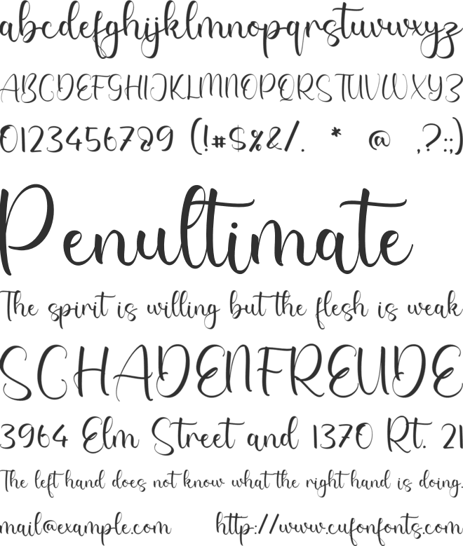 Tammy Dearborn font preview
