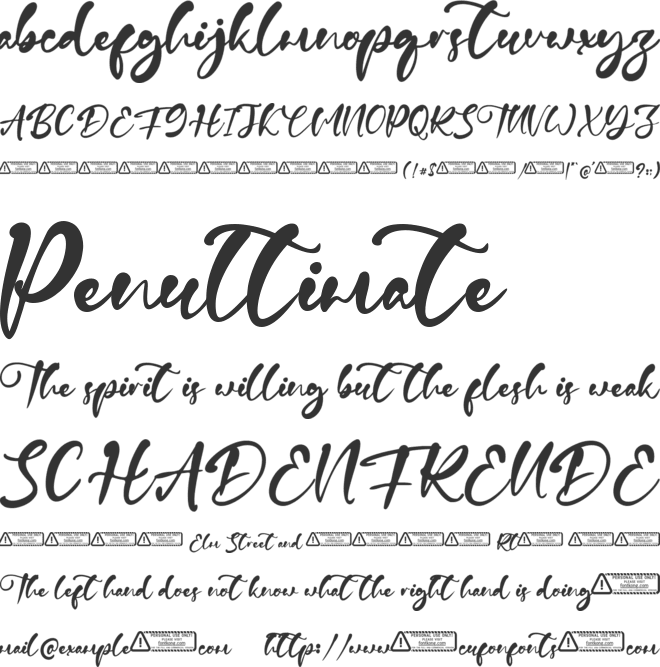 Gina Sean font preview