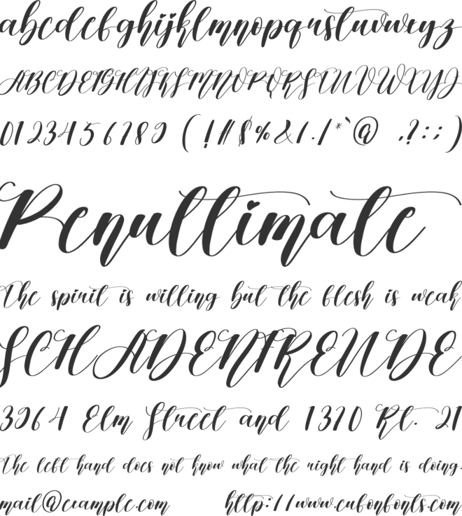 Christmas Wonderful font preview
