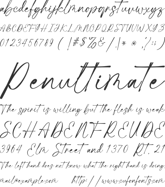 Rochetha Signature font preview