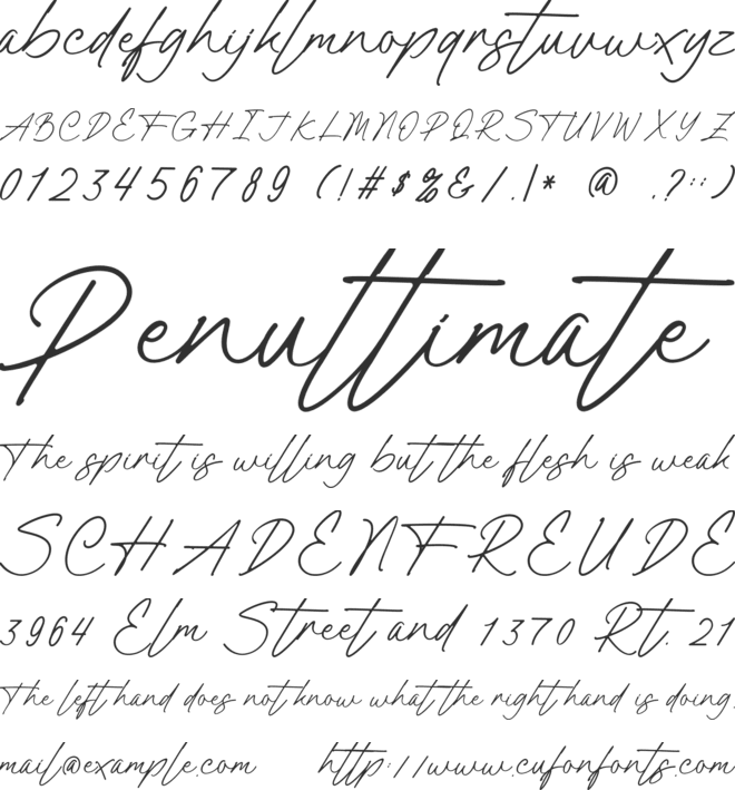 Castery Signature font preview
