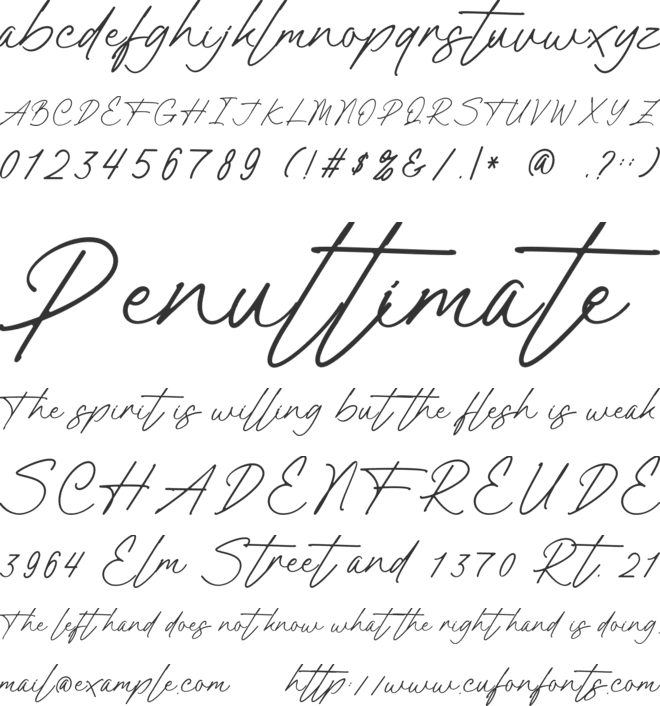 Castery Signature font preview