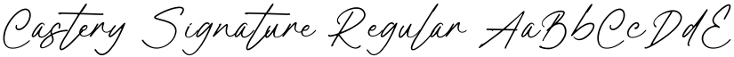 Castery Signature Regular font
