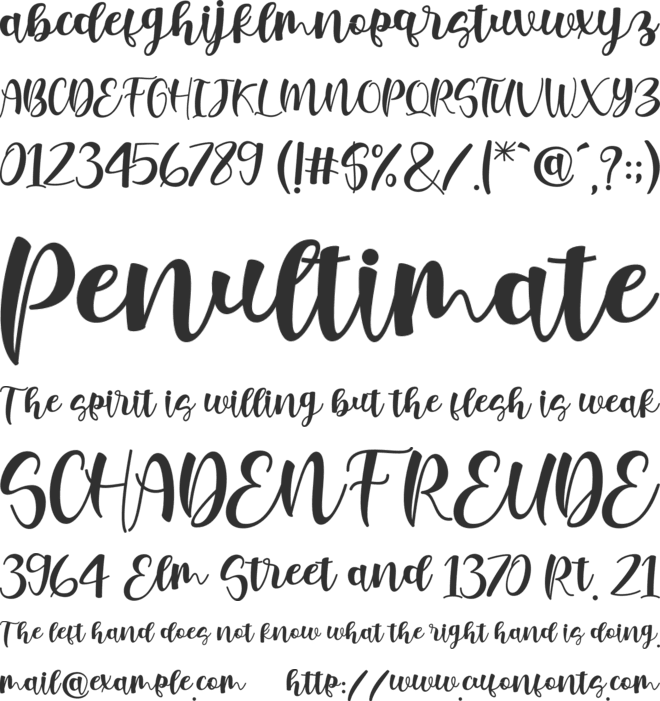 new molly Script font preview